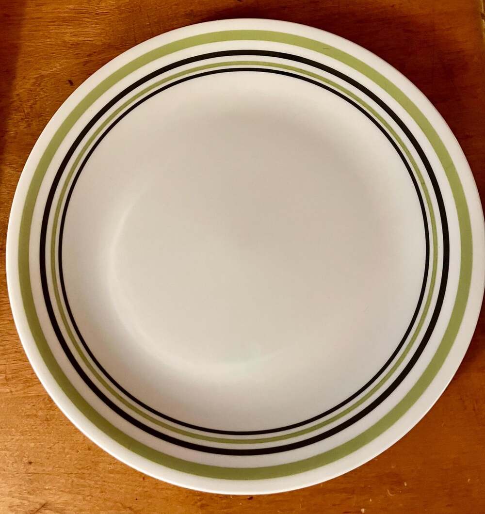 Set of 4 Corelle Dinner Plates – Discontinued Garden Sketch Bands Pattern – Exce